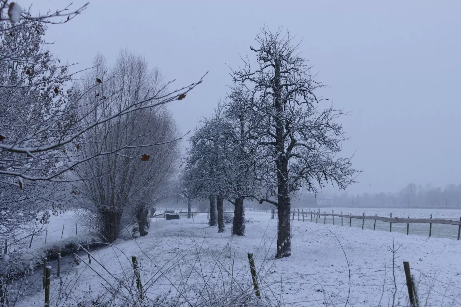 Meschermolen 5-Area winter 1km