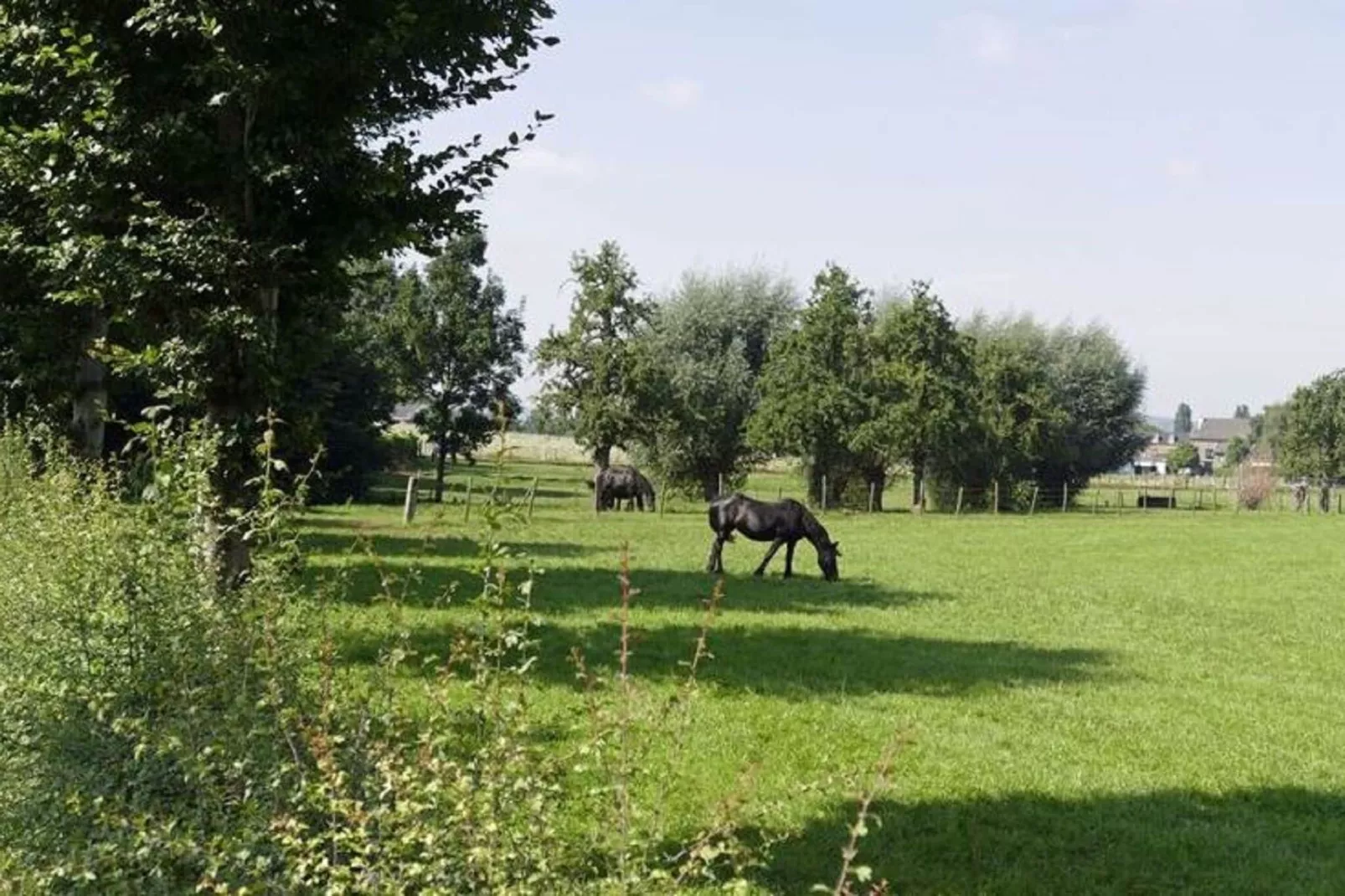 Meschermolen 5-Gardens summer