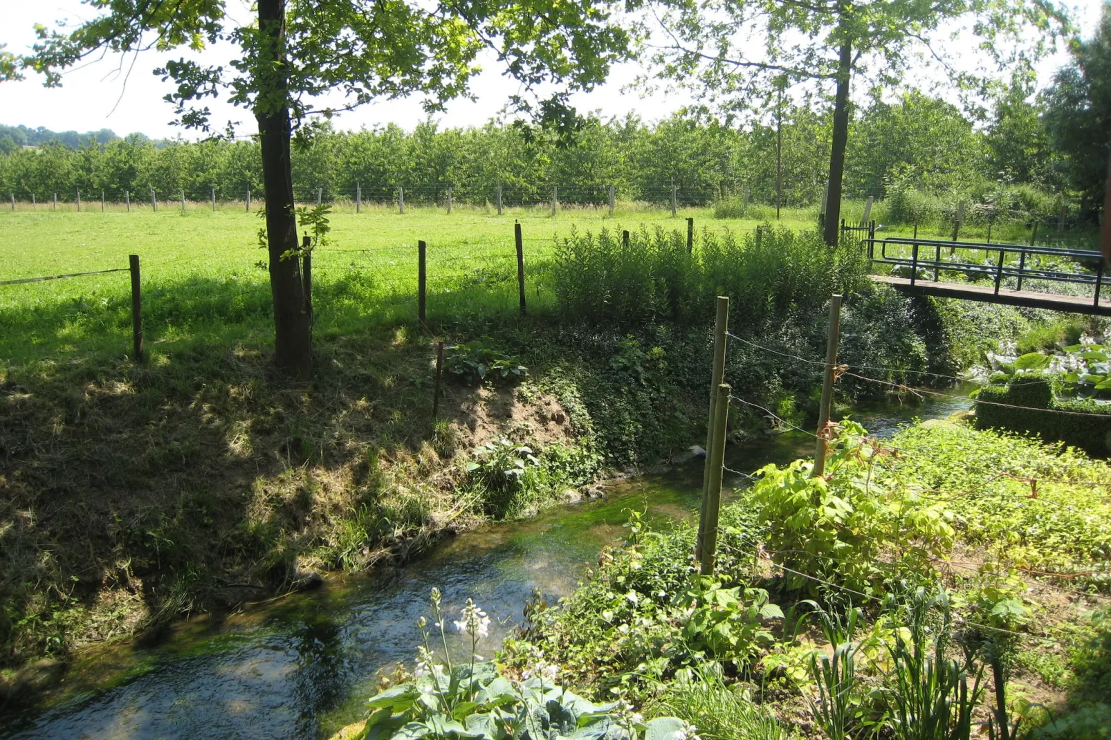 Meschermolen 5-View summer
