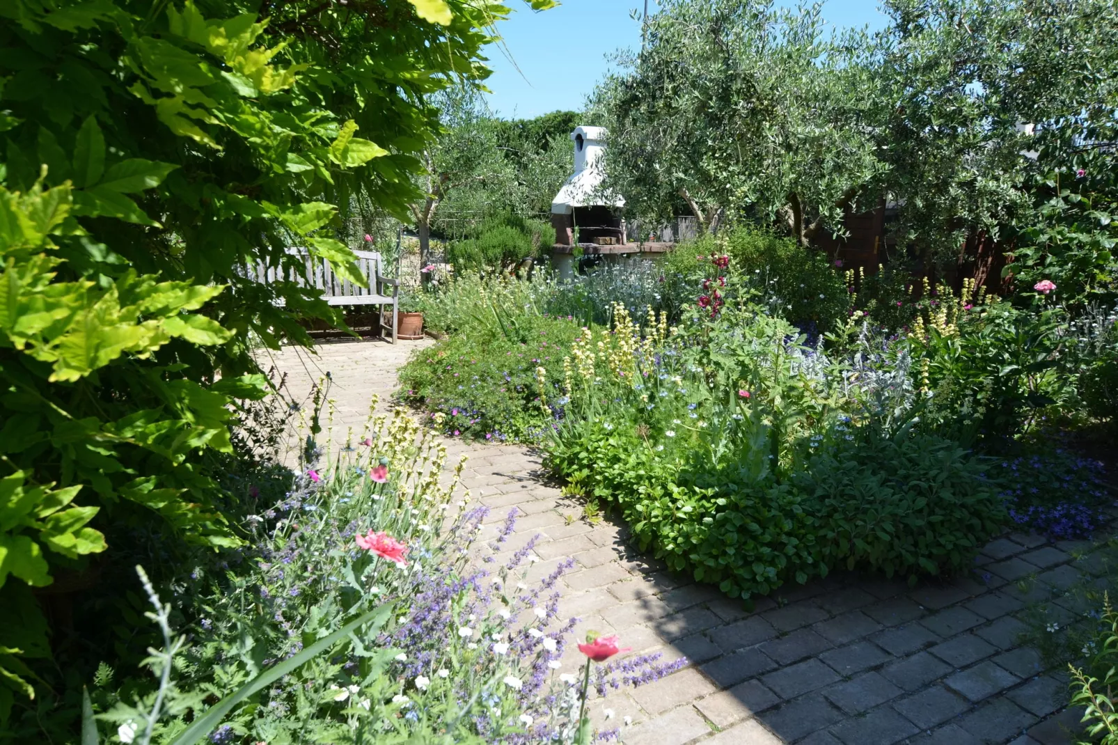 Venturi Cherry-Gardens summer