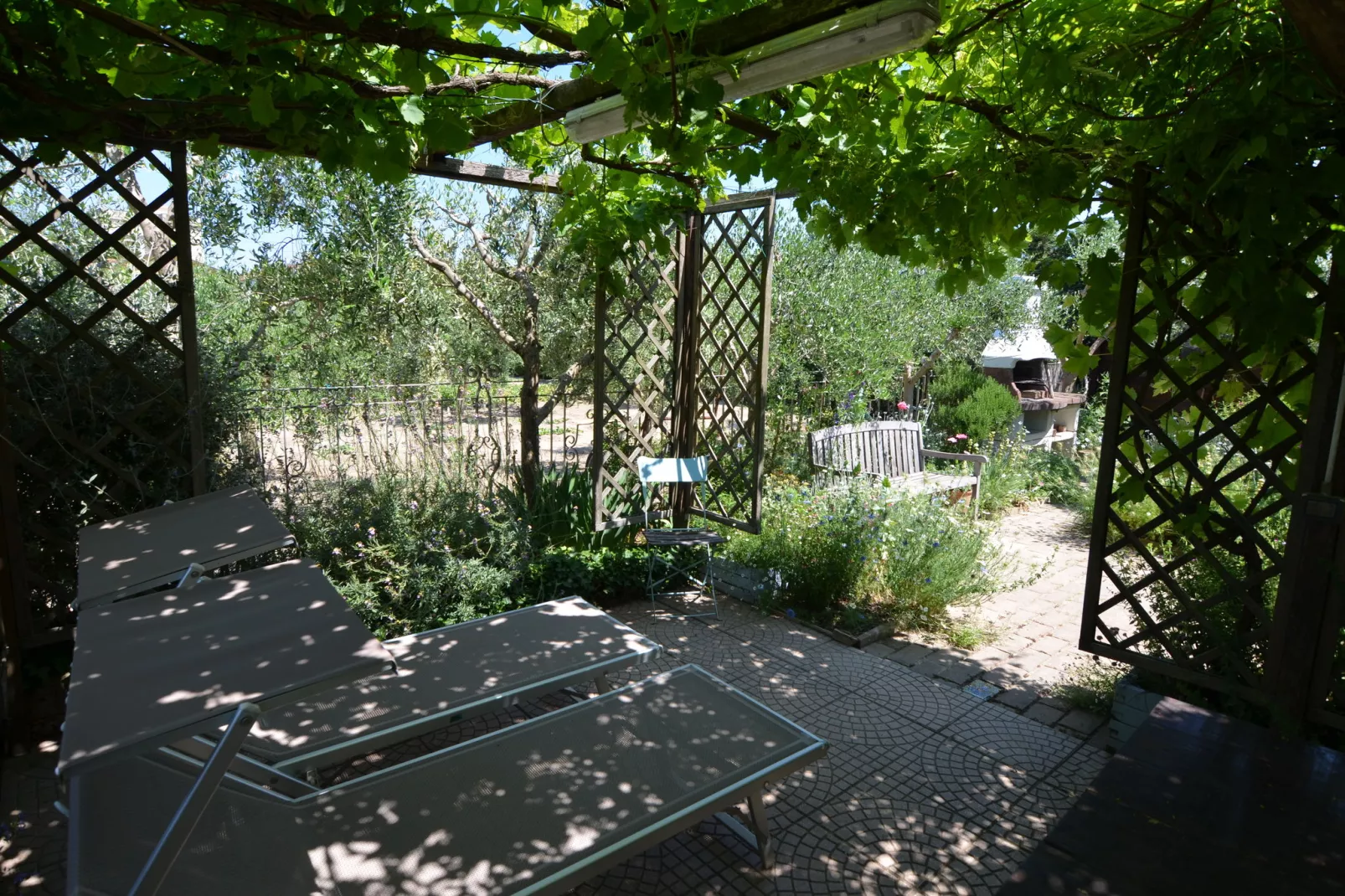 Venturi Cherry-Gardens summer