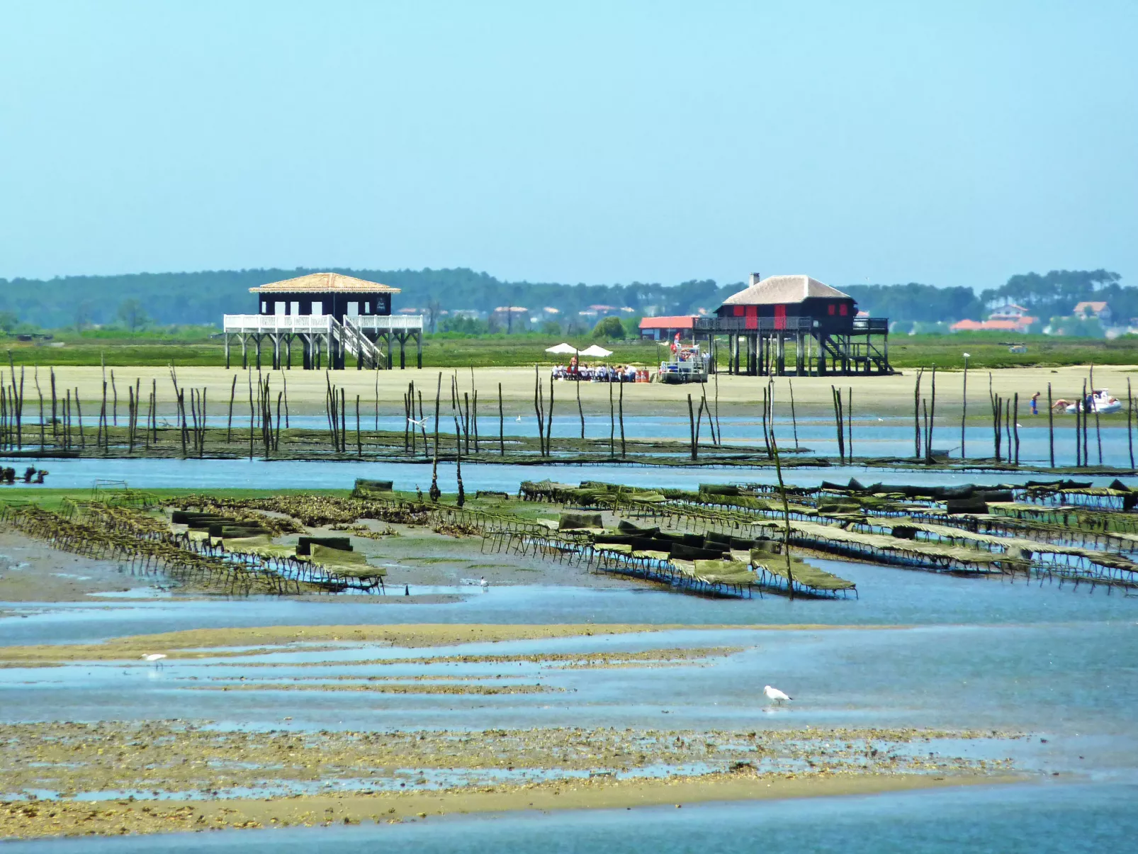 Arguin II-Area