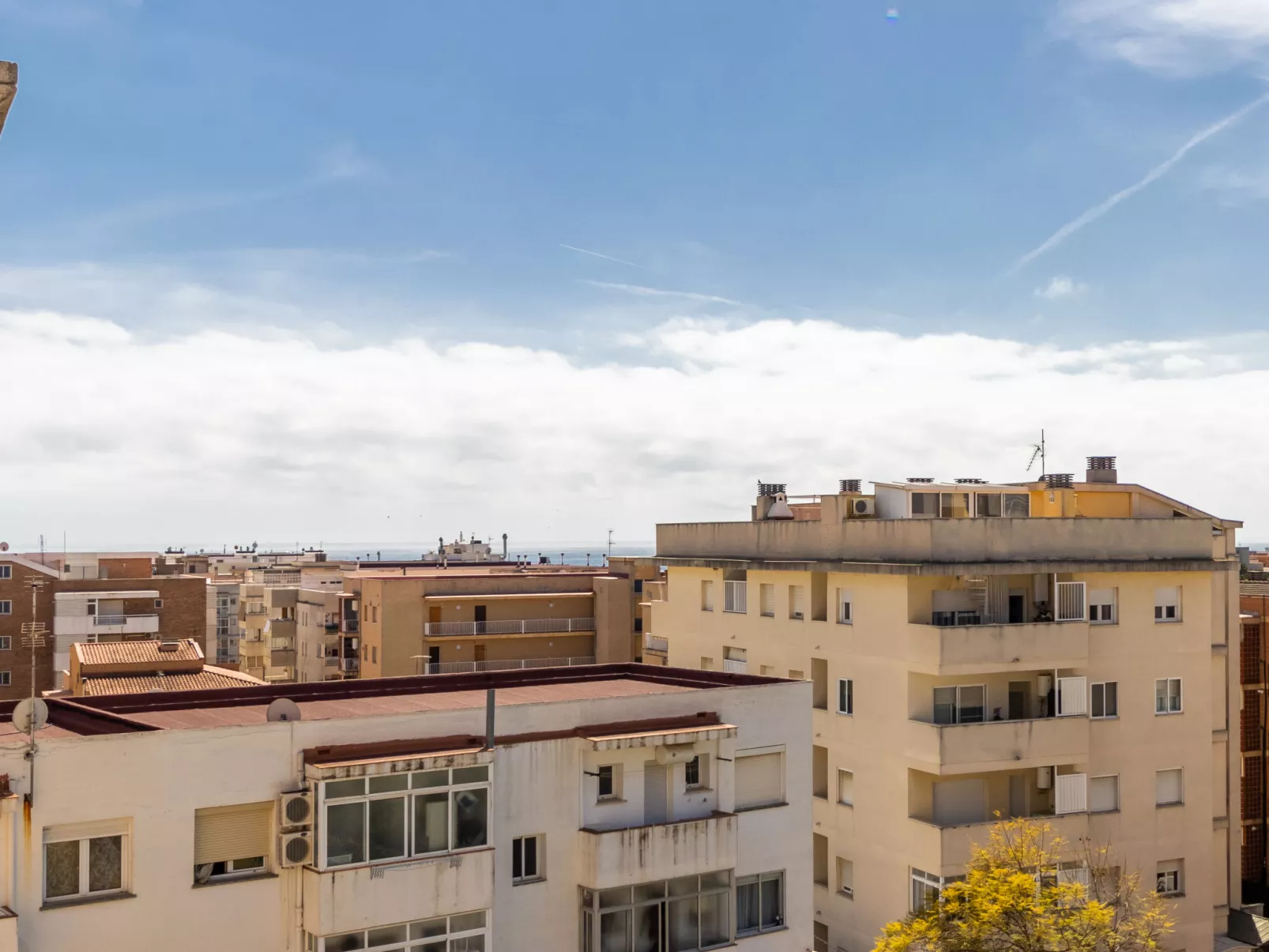 Aurelia-Outside