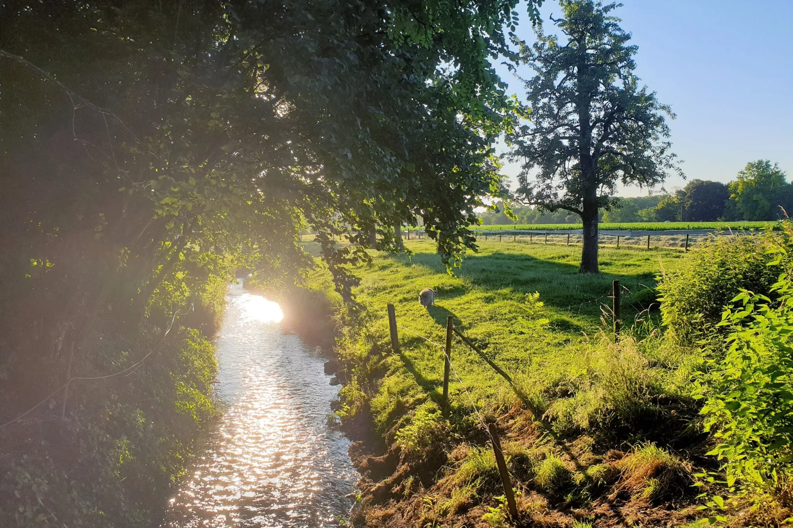 Meschermolen 8-Areas summer 1km