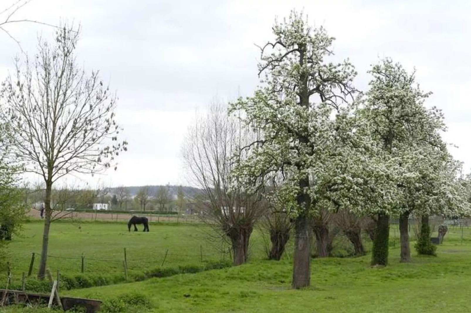 Meschermolen 8-Areas summer 1km