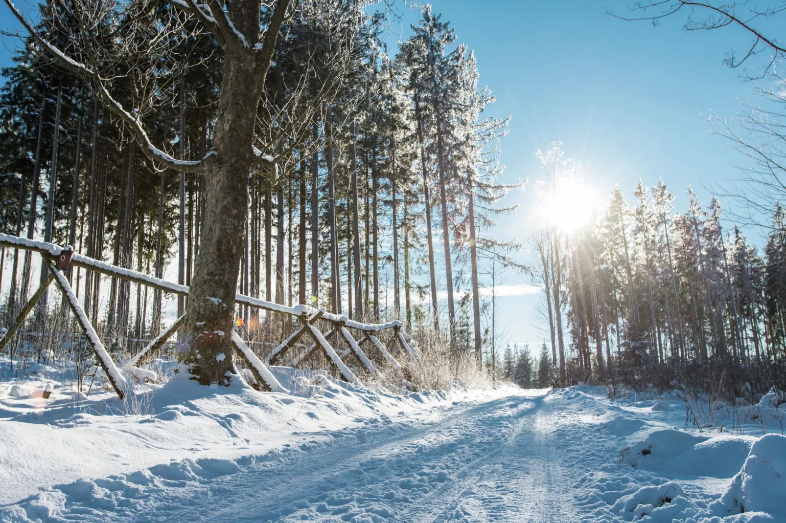 Lipno Nova Lake Resort B-Zone d'hiver à 5 km