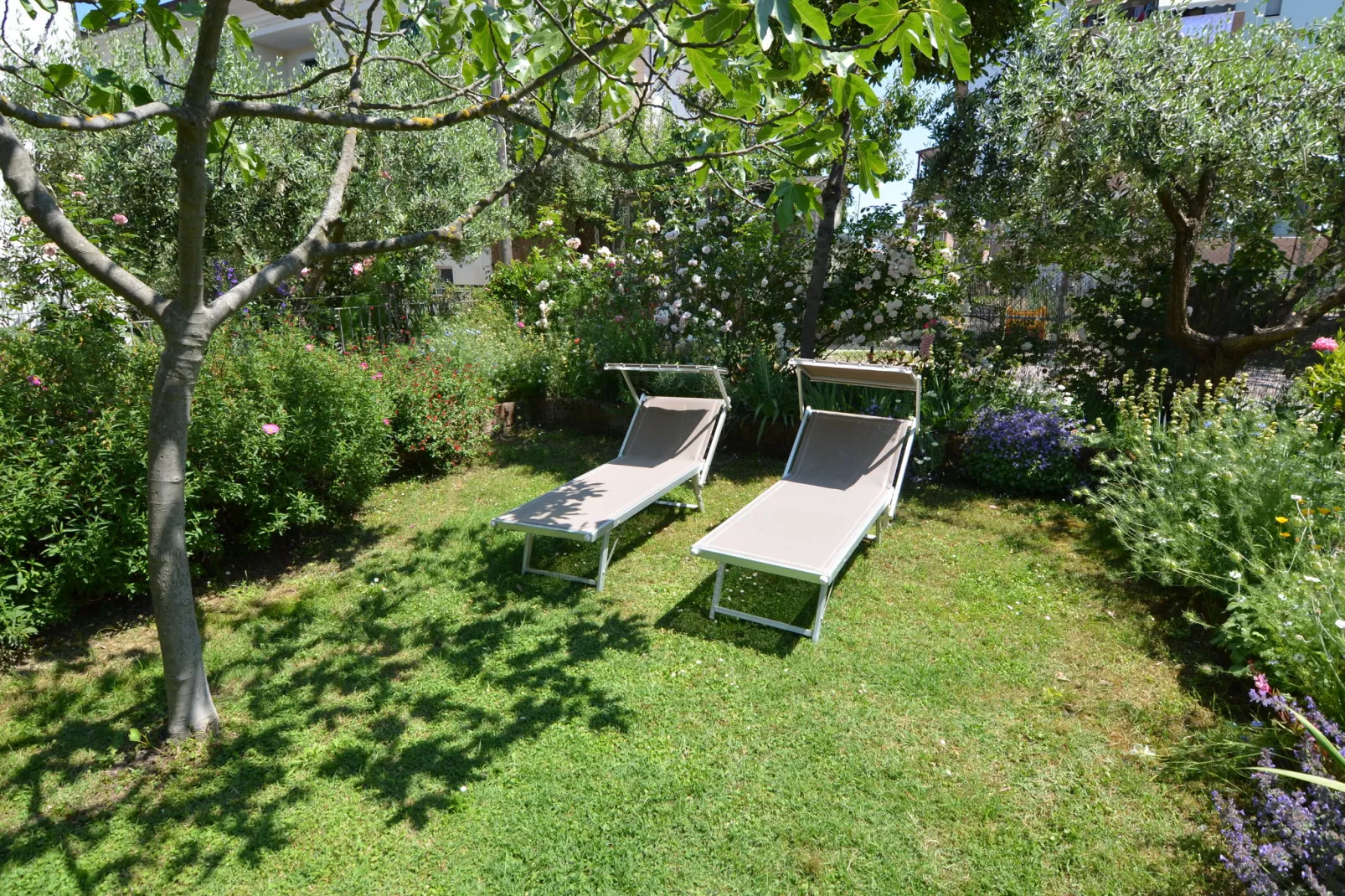 Venturi Lemon-Gardens summer
