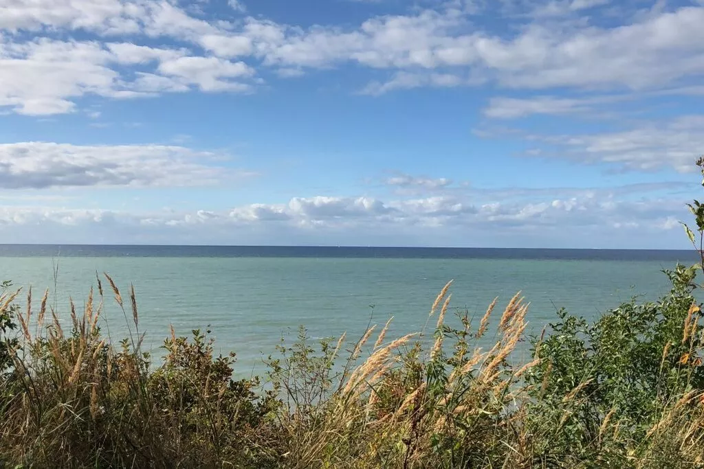 237924-View