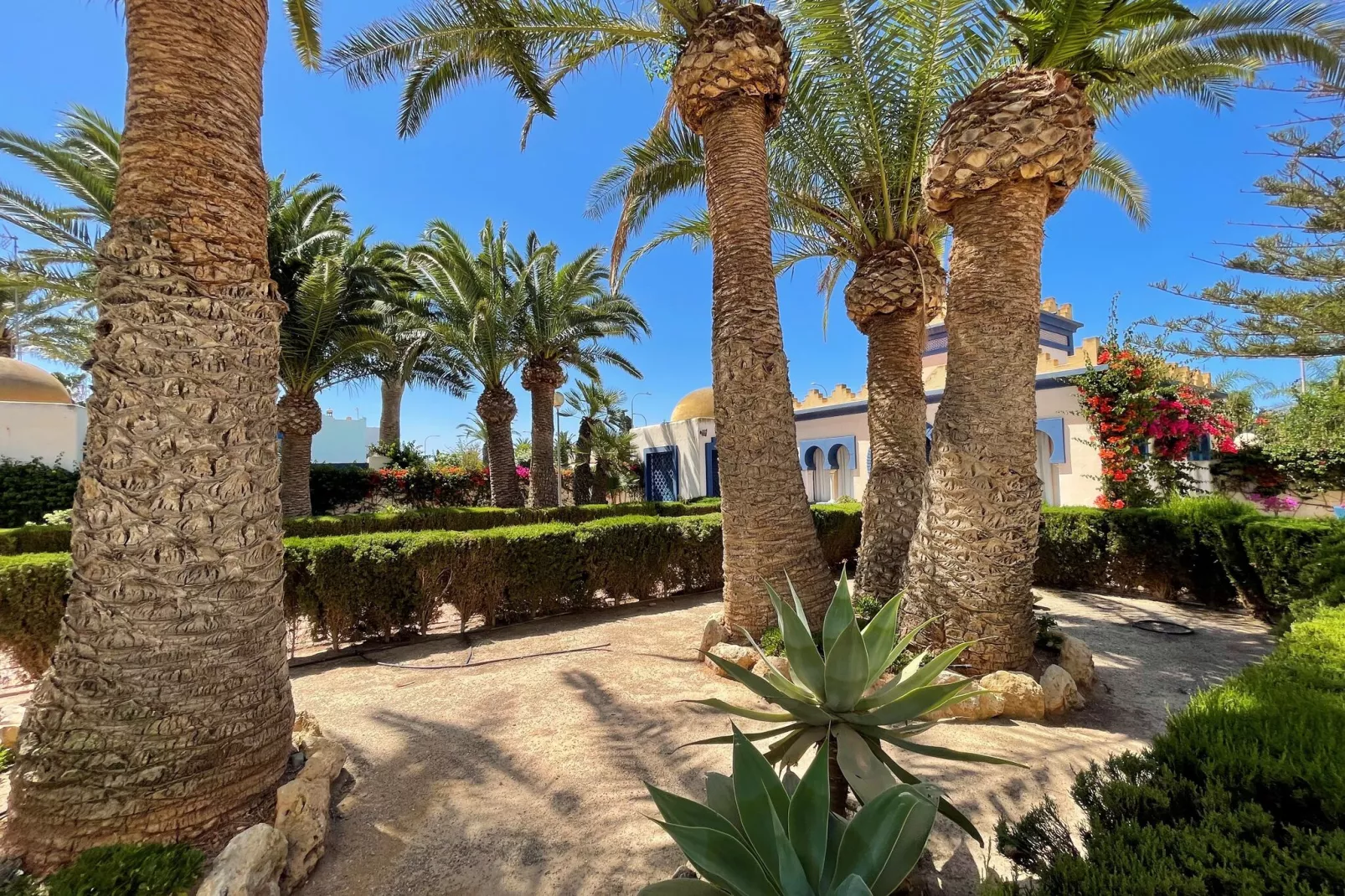 Minarete 13B-Gardens summer