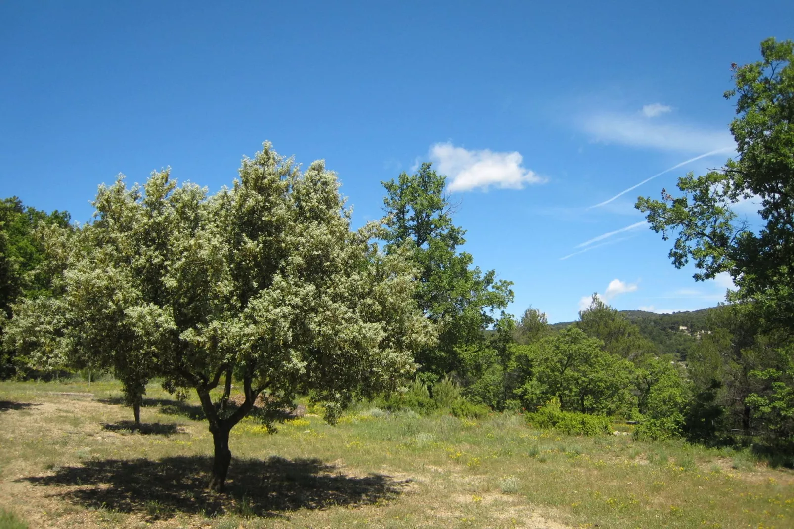 La Bastide Clémentine