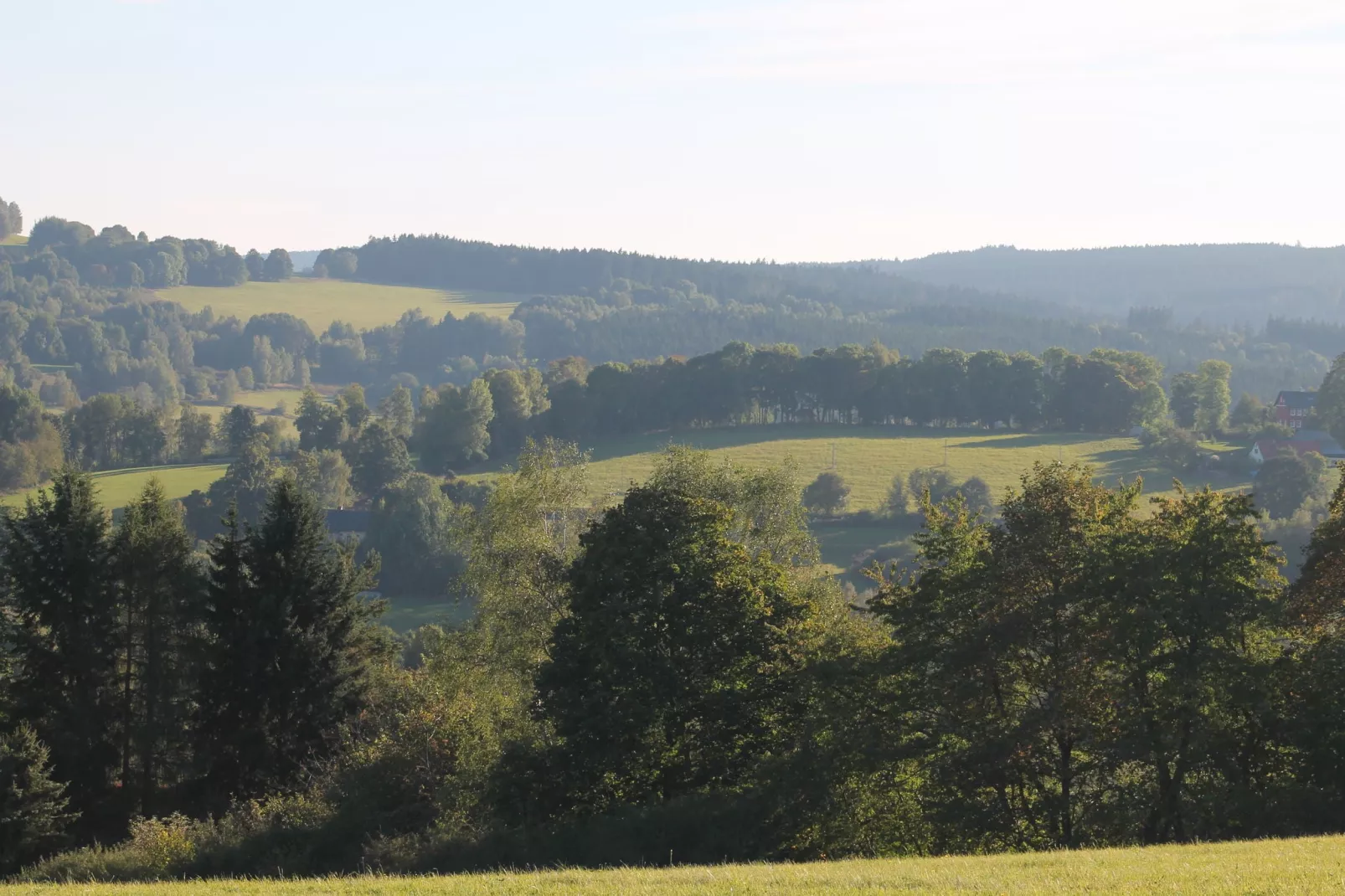 Pereboom-Areas summer 1km