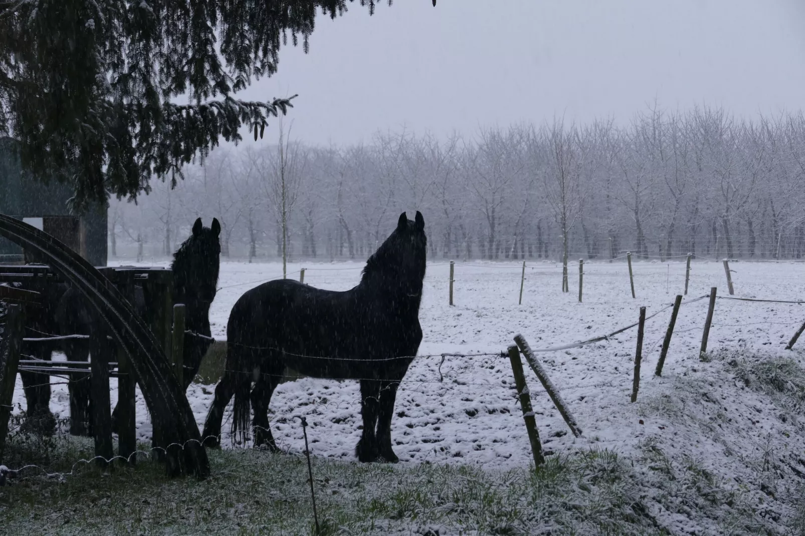 Meschermolen 13-Area winter 1km