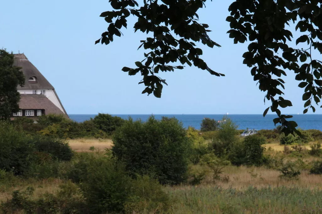 213465-View
