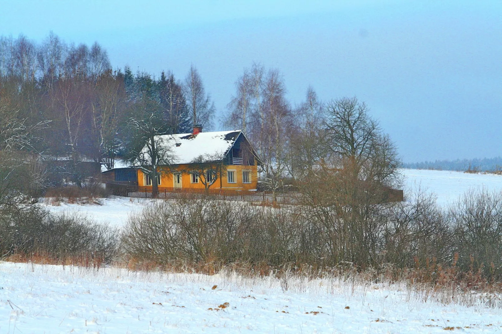 Pereboom-Exterior winter