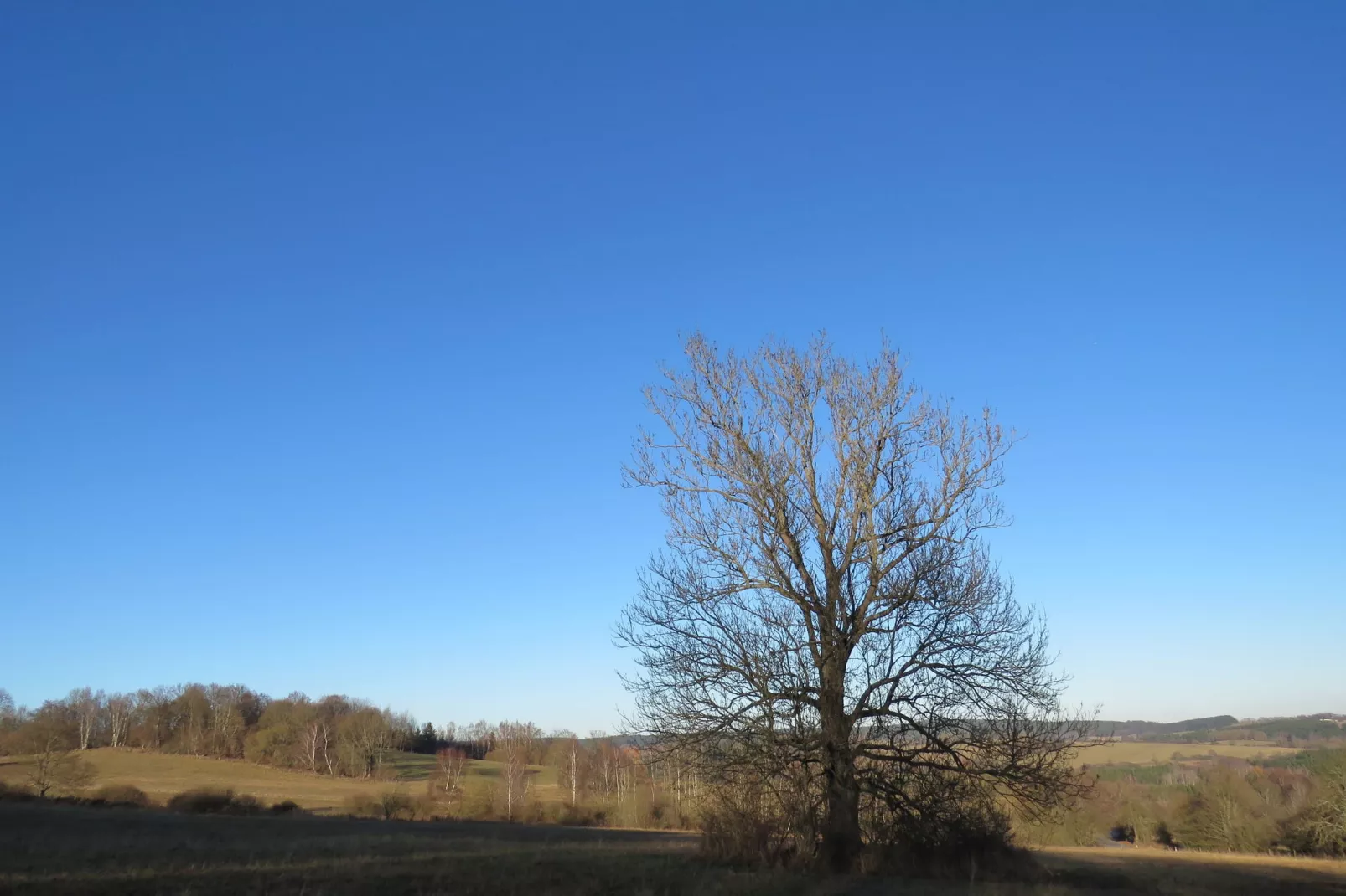 Pereboom-View winter