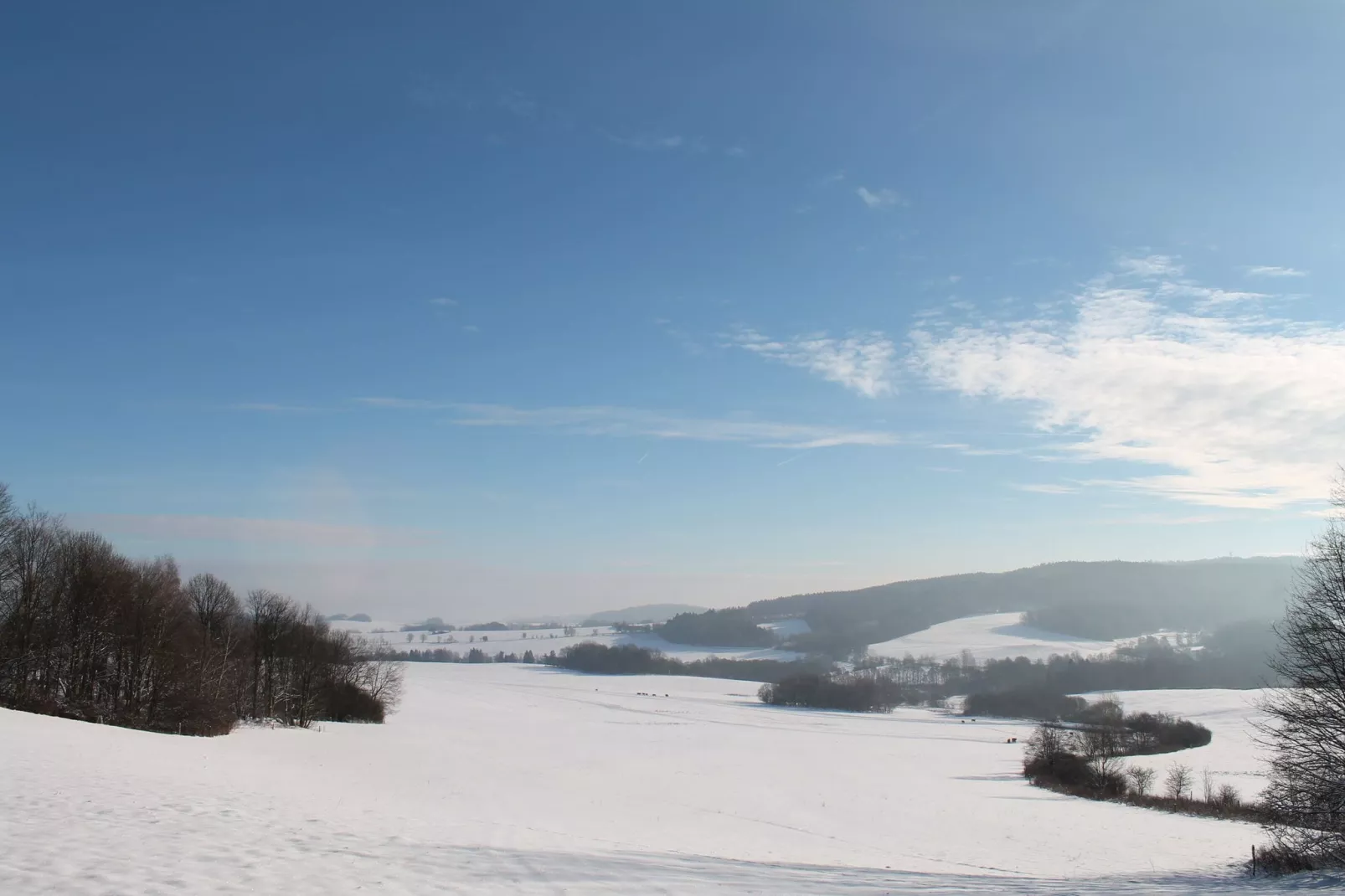 Pereboom-Area winter 1km