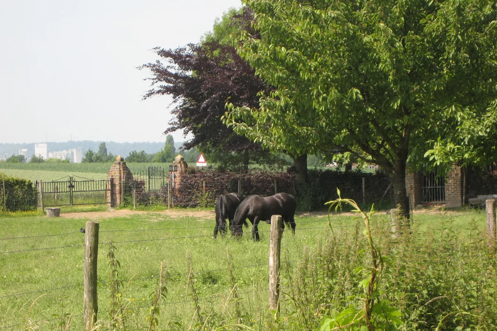 Meschermolen 13-Gardens summer