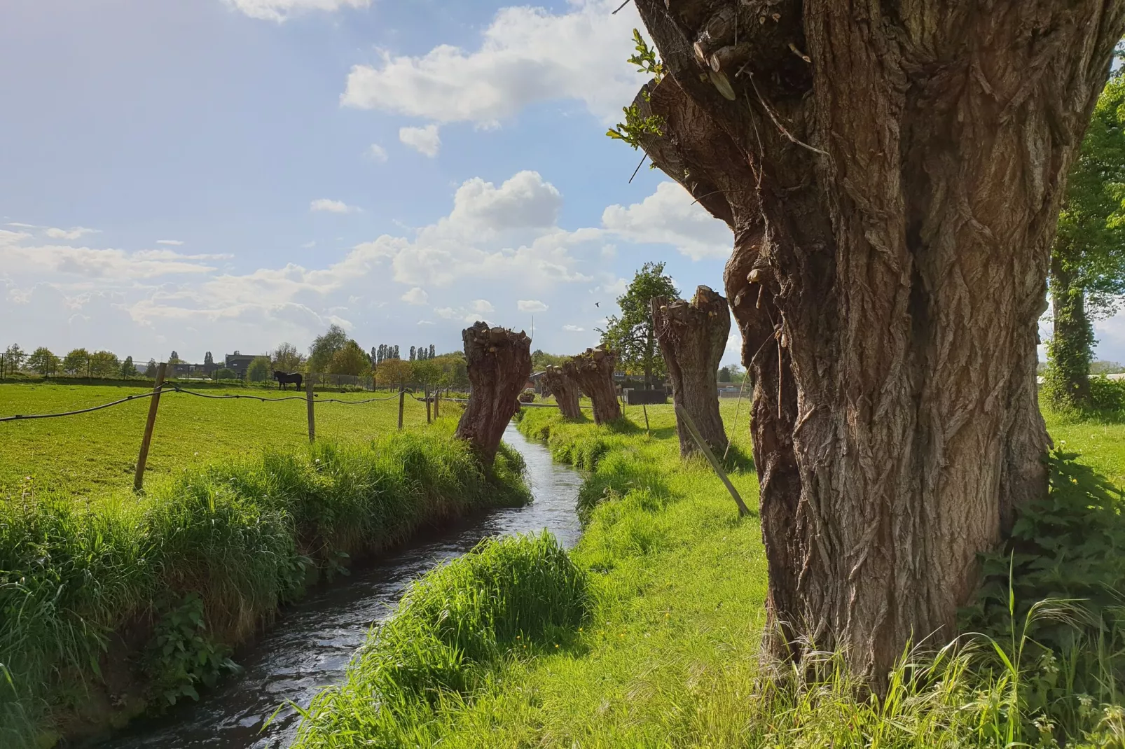 Meschermolen 13-Areas summer 1km