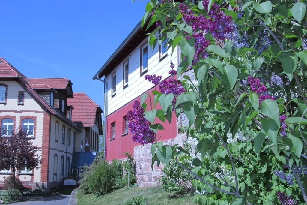 216483-View