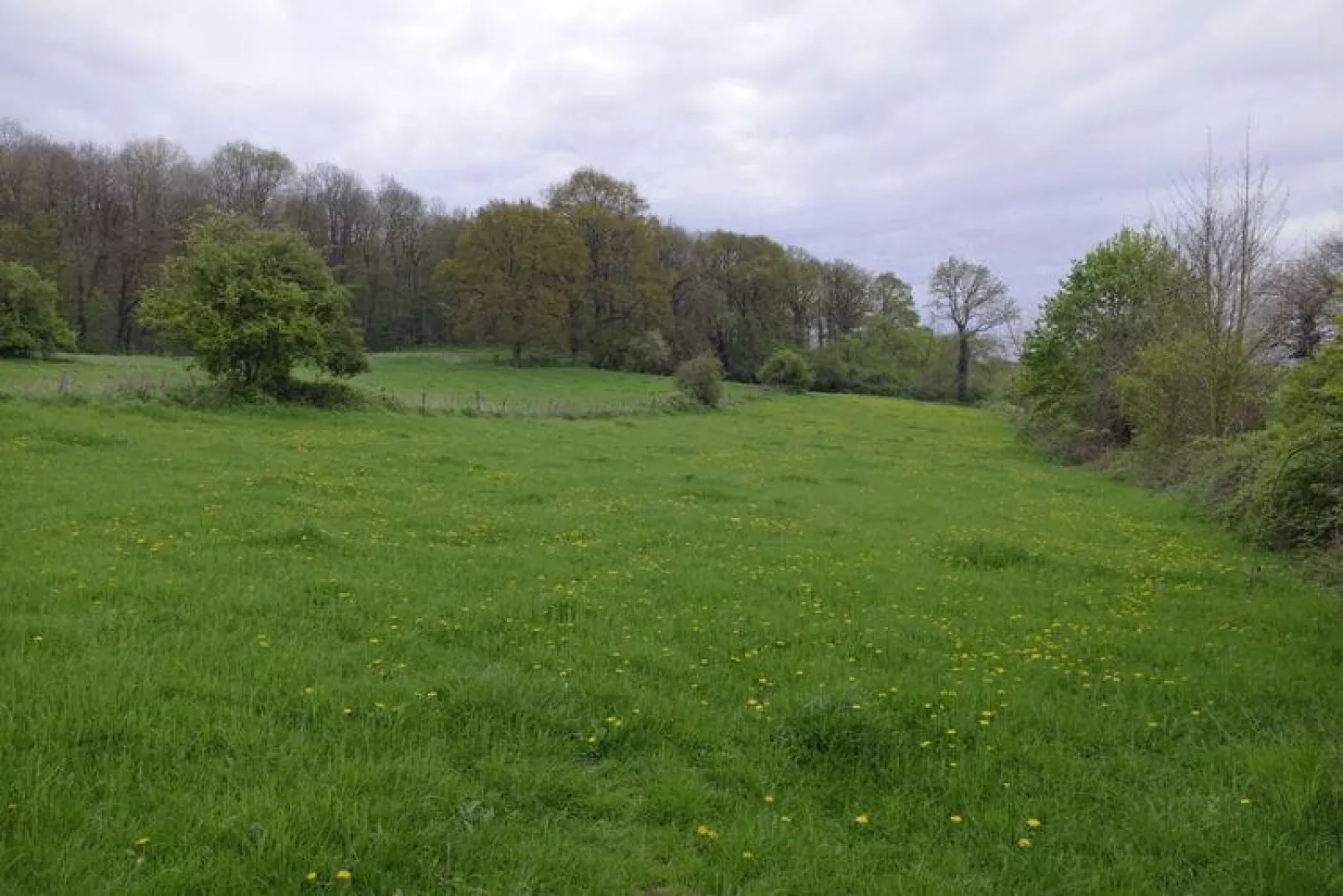 Meschermolen 13-Areas summer 20km