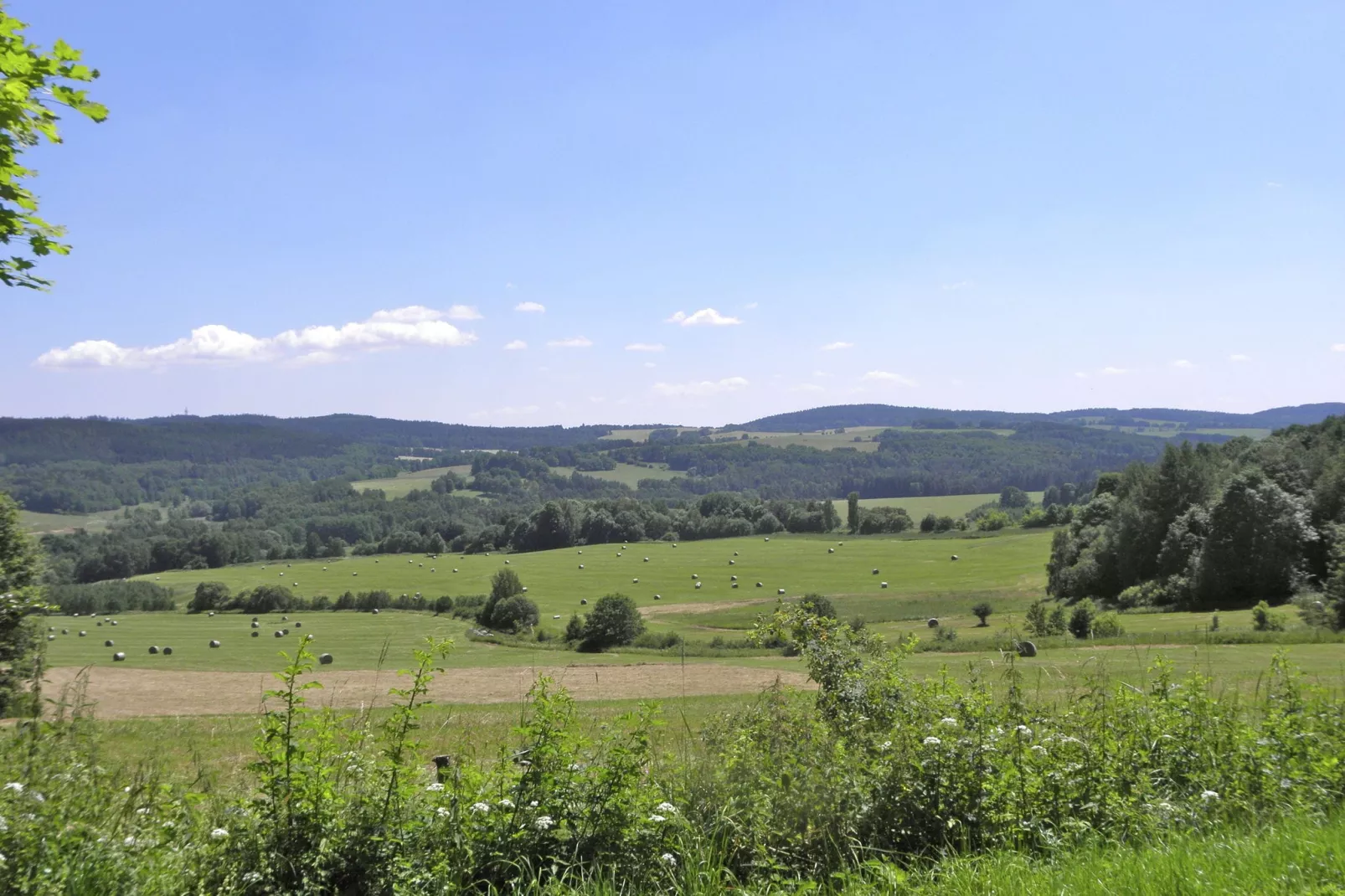 Lipa-Areas summer 1km