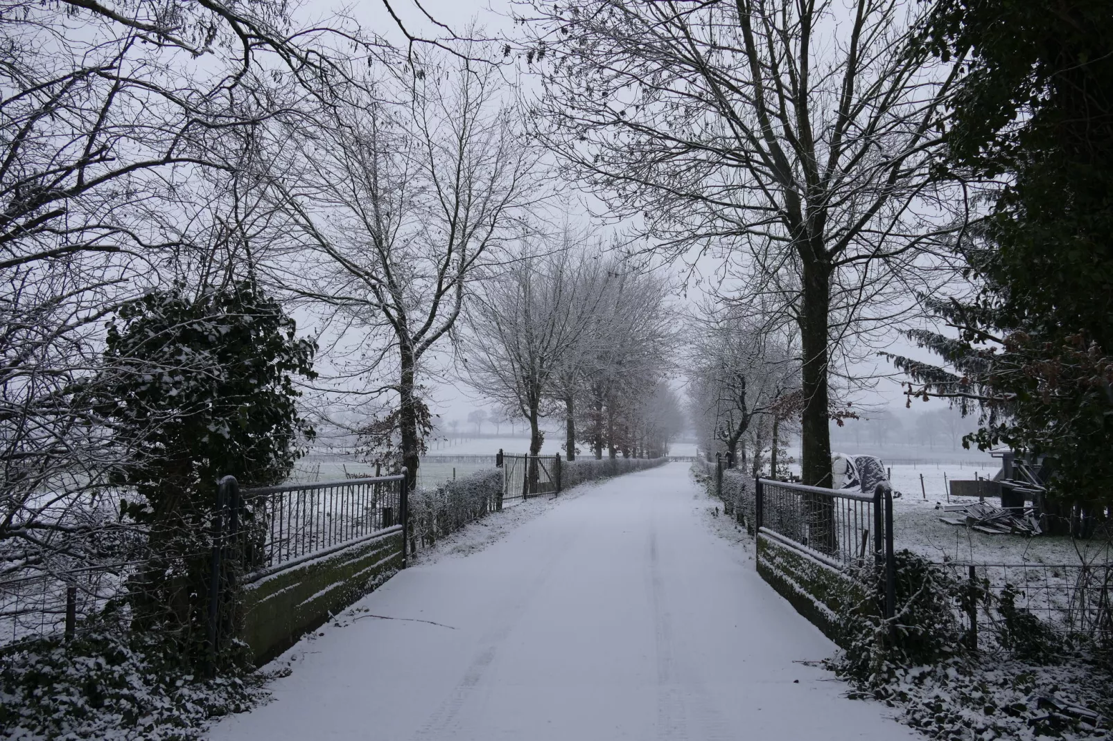 Meschermolen 14-Area winter 1km