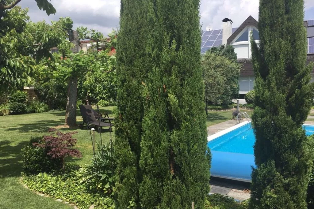 219730-Pool