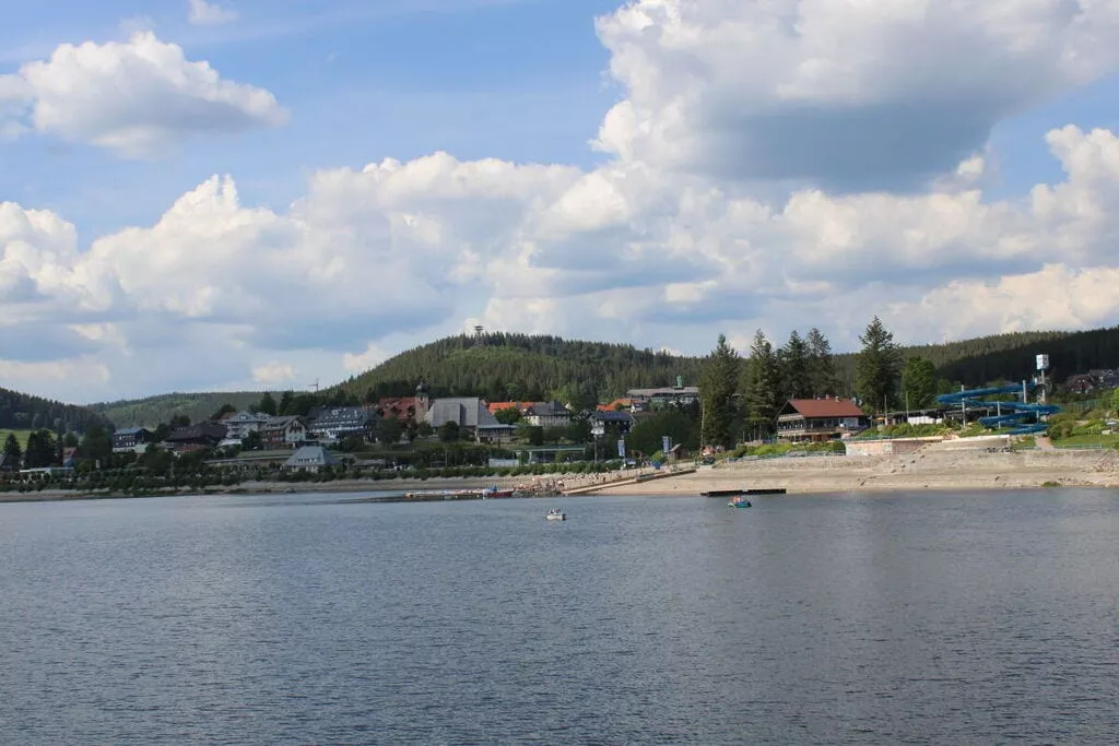 219476-View