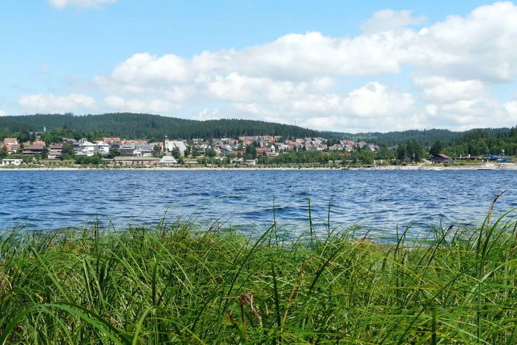 219476-View