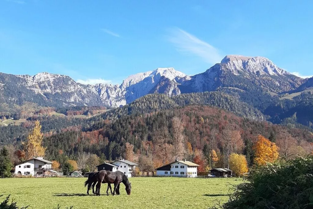 209087-Nicht getaggt