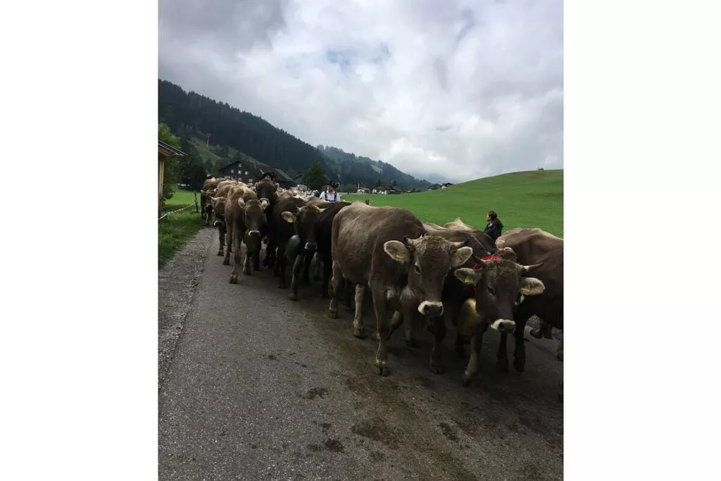 215708-Nicht getaggt