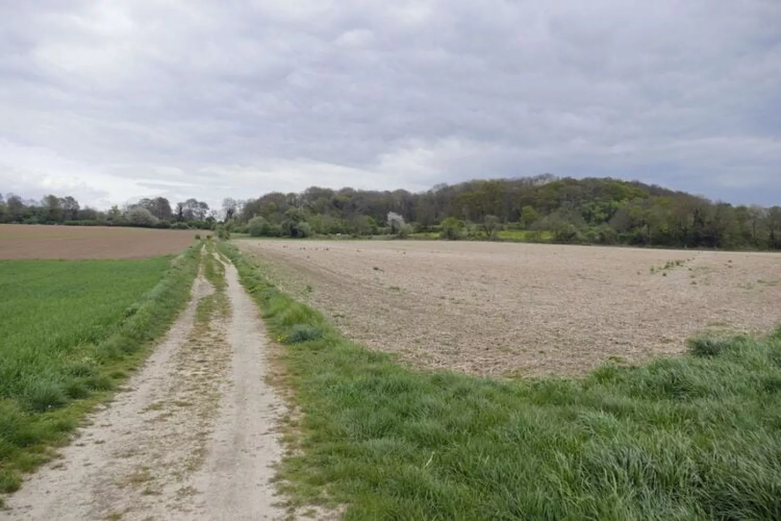 Meschermolen 14-Areas summer 20km