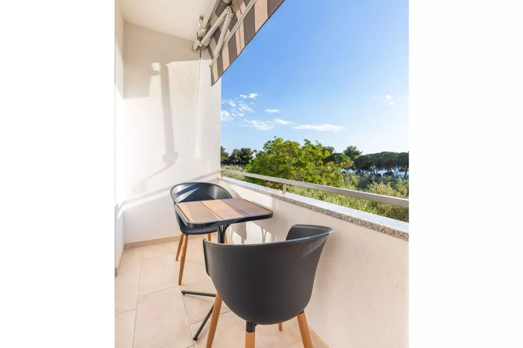 222989-Vue