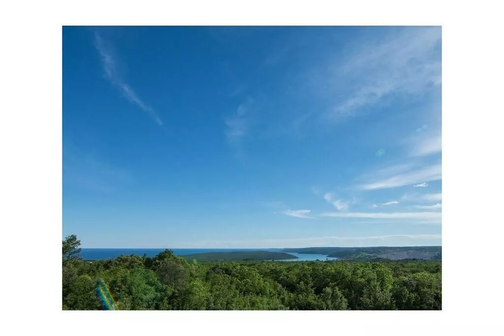 217267-View