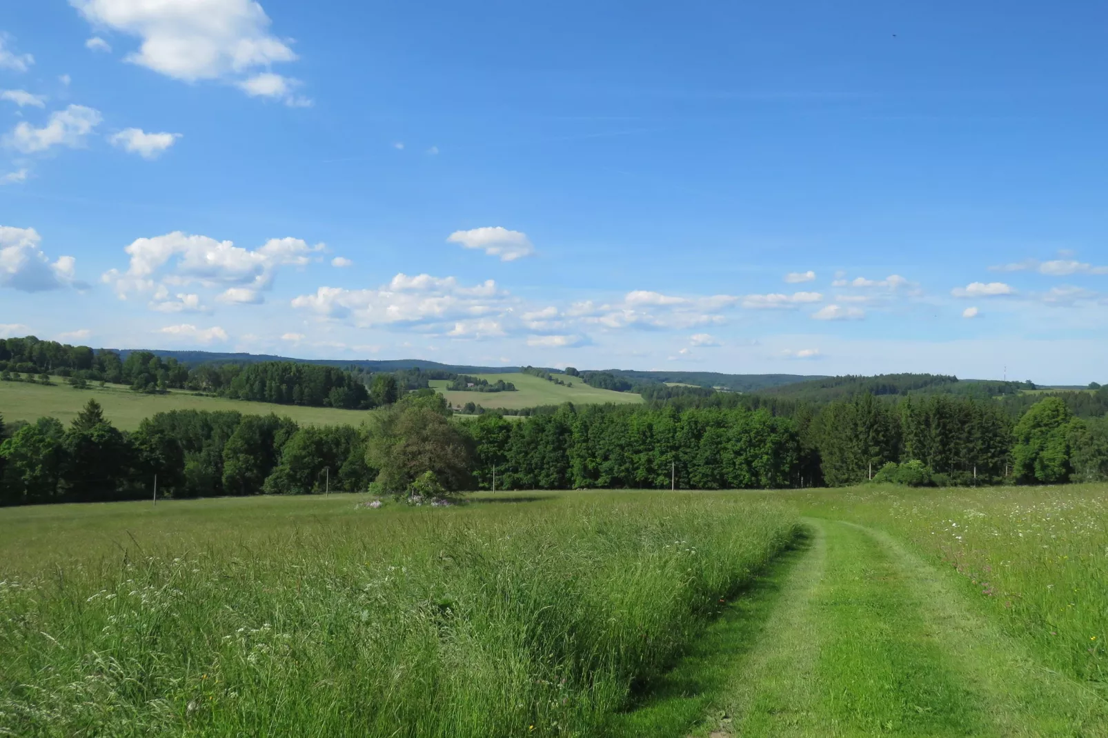 Fara-Areas summer 1km