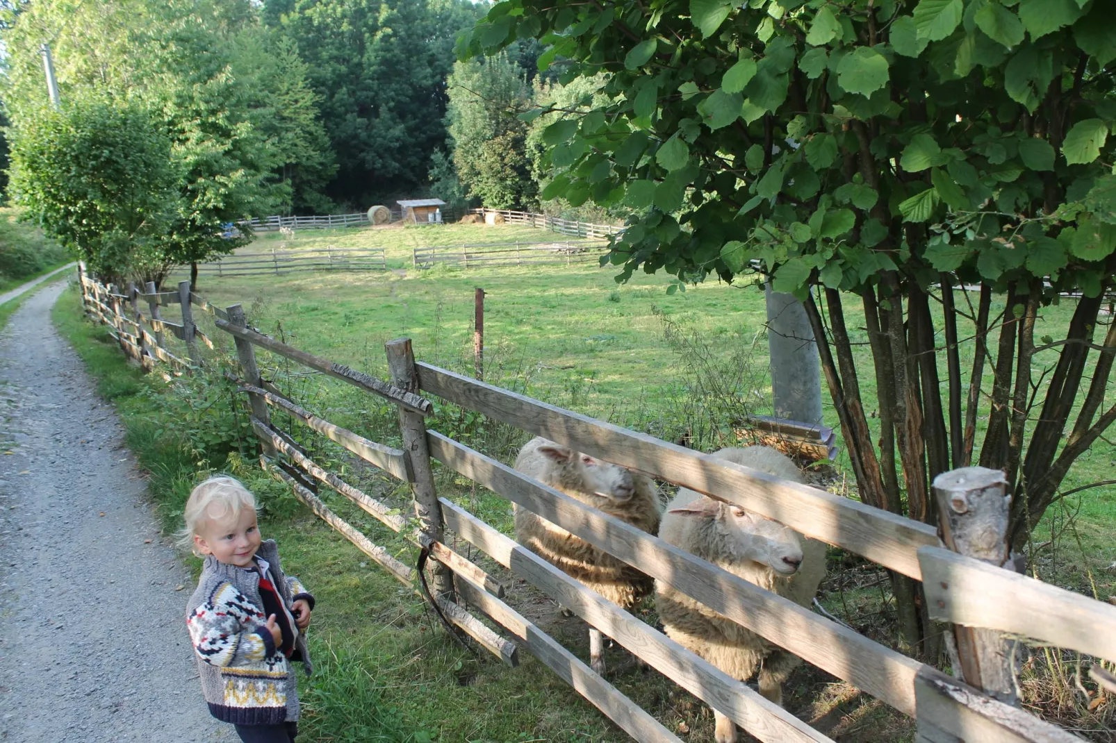 Fara-Areas summer 1km
