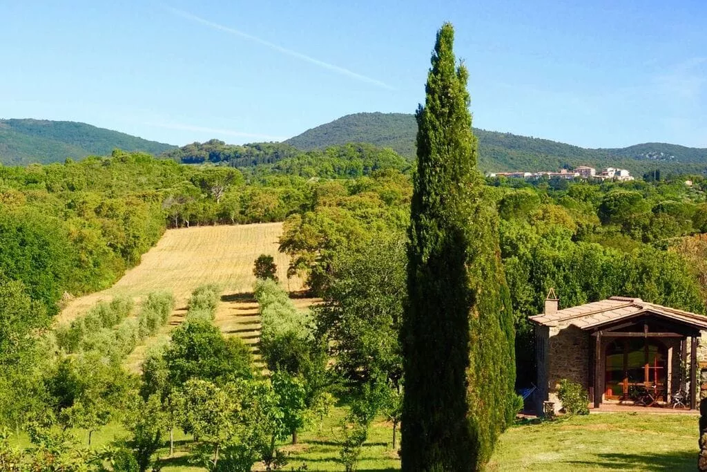 217942-View