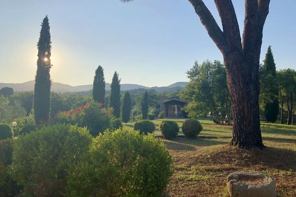 217942-View