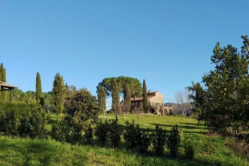 217942-View
