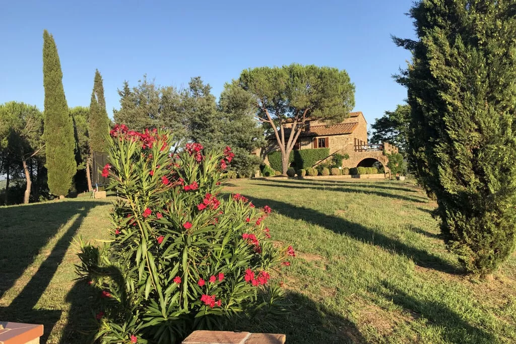 217942-View
