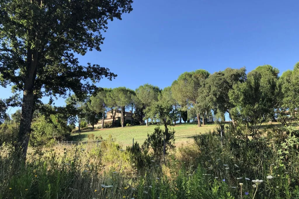 217942-View