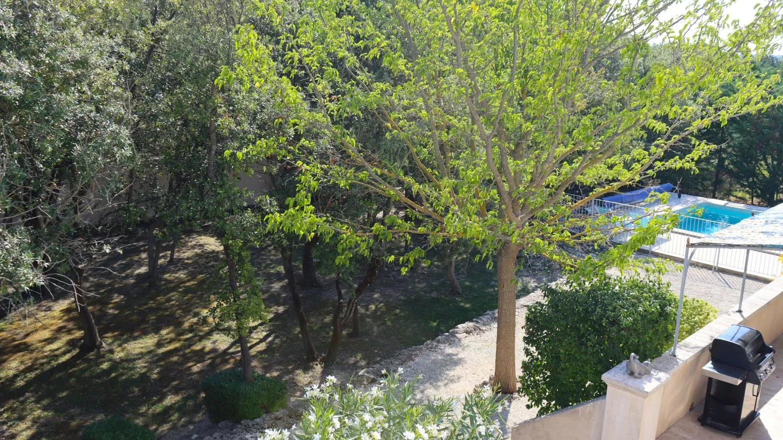 La Cadeline-Gardens summer