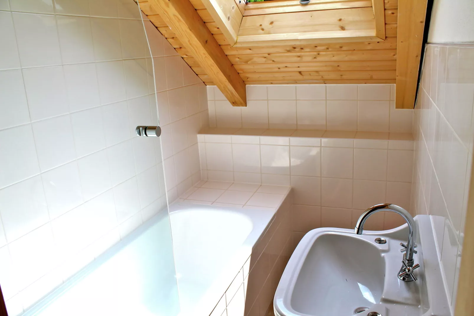 Dum u Lesa-Bathroom