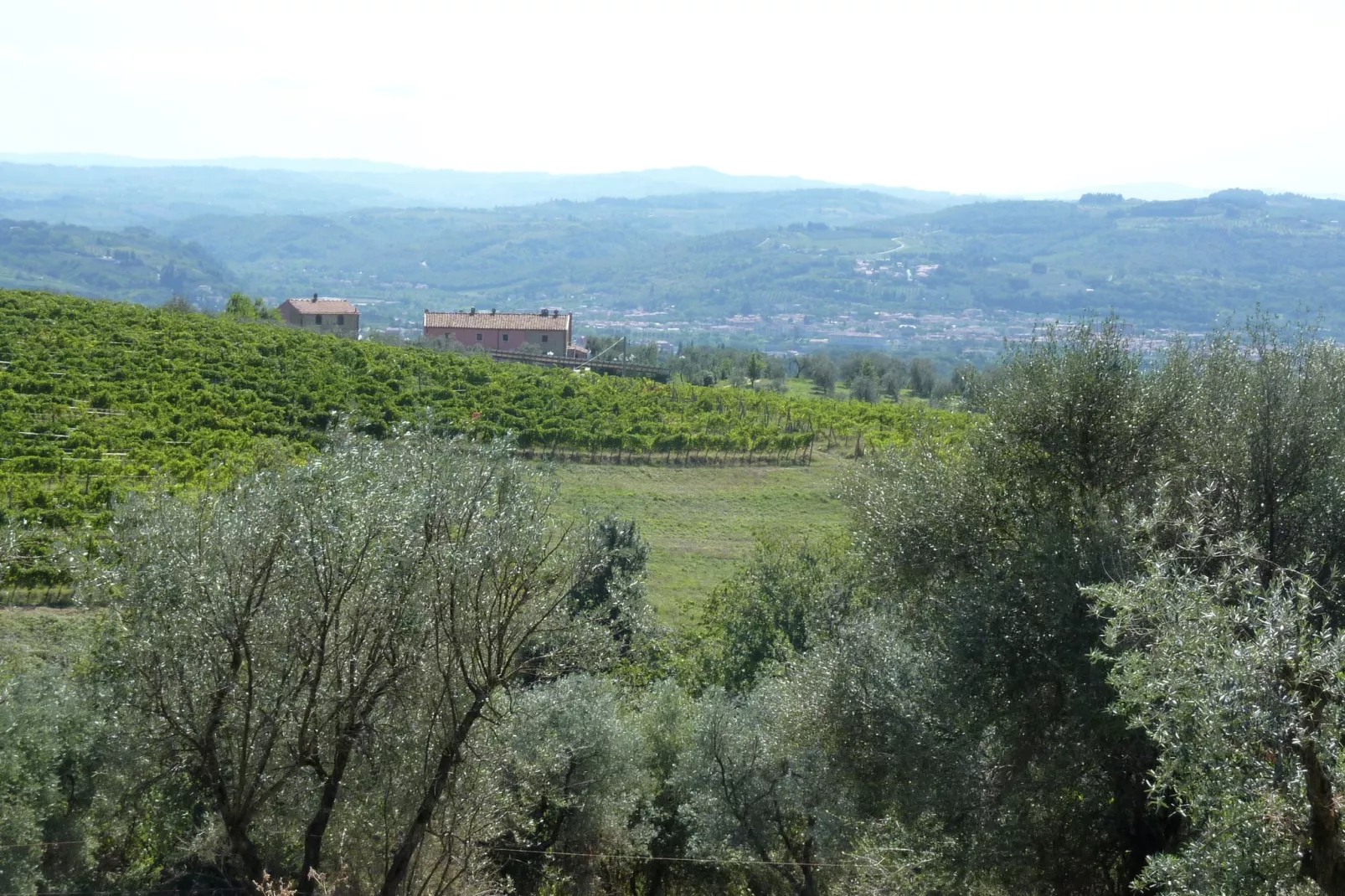 Volpe-Aussicht Sommer