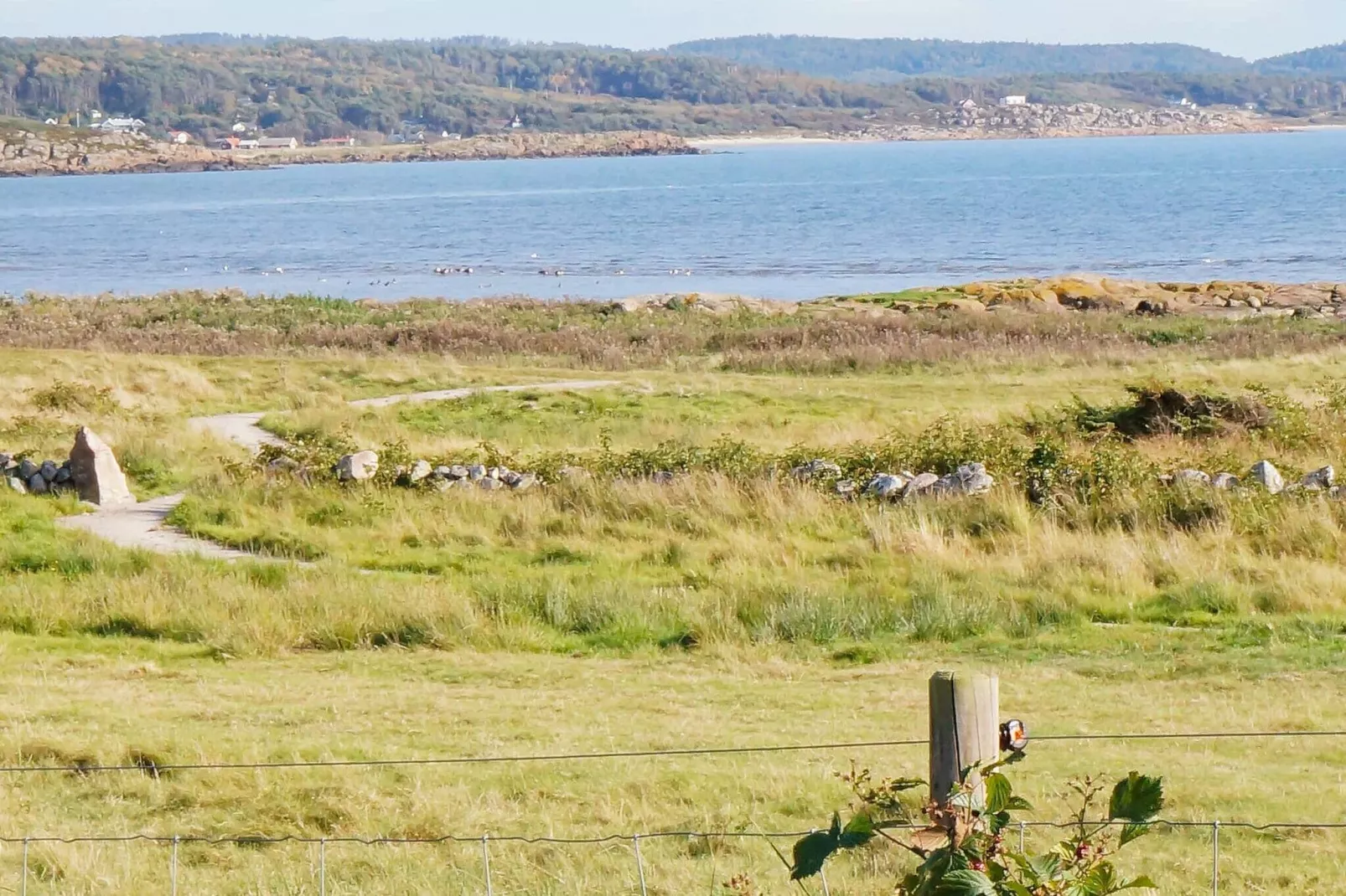 6 person holiday home in FALKENBERG-By Traum-Not tagged