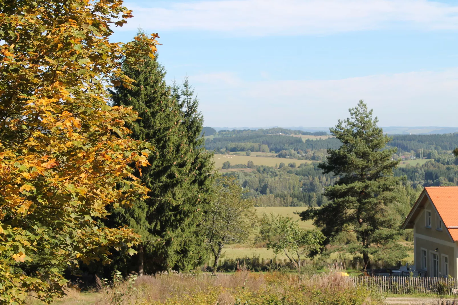 Borovice-Aussicht Sommer