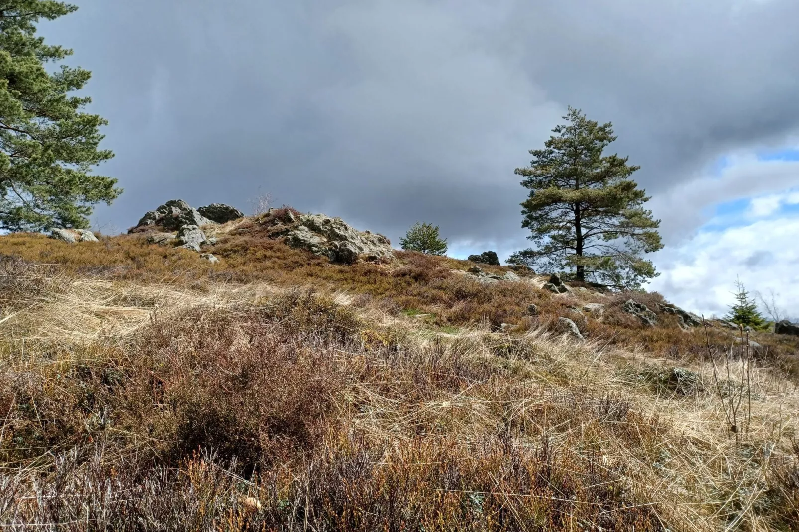 Am Hochfels-Not tagged