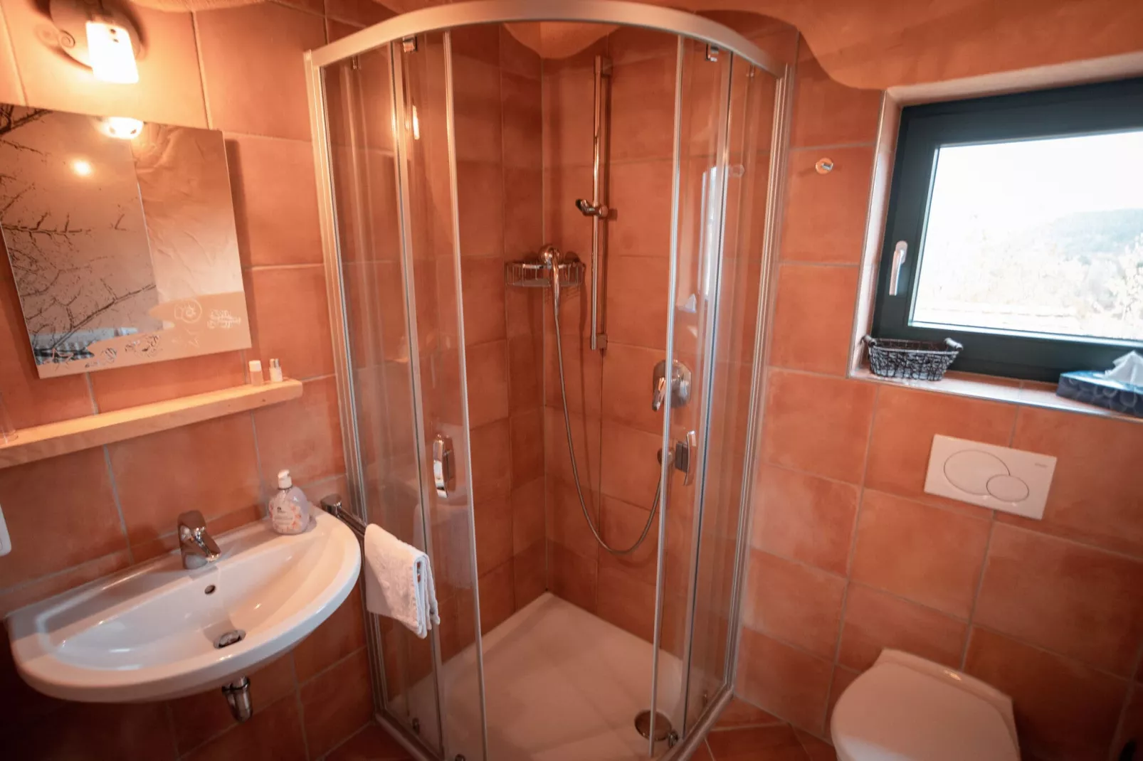 Unique holiday home in Viechtach with sauna-Bathroom