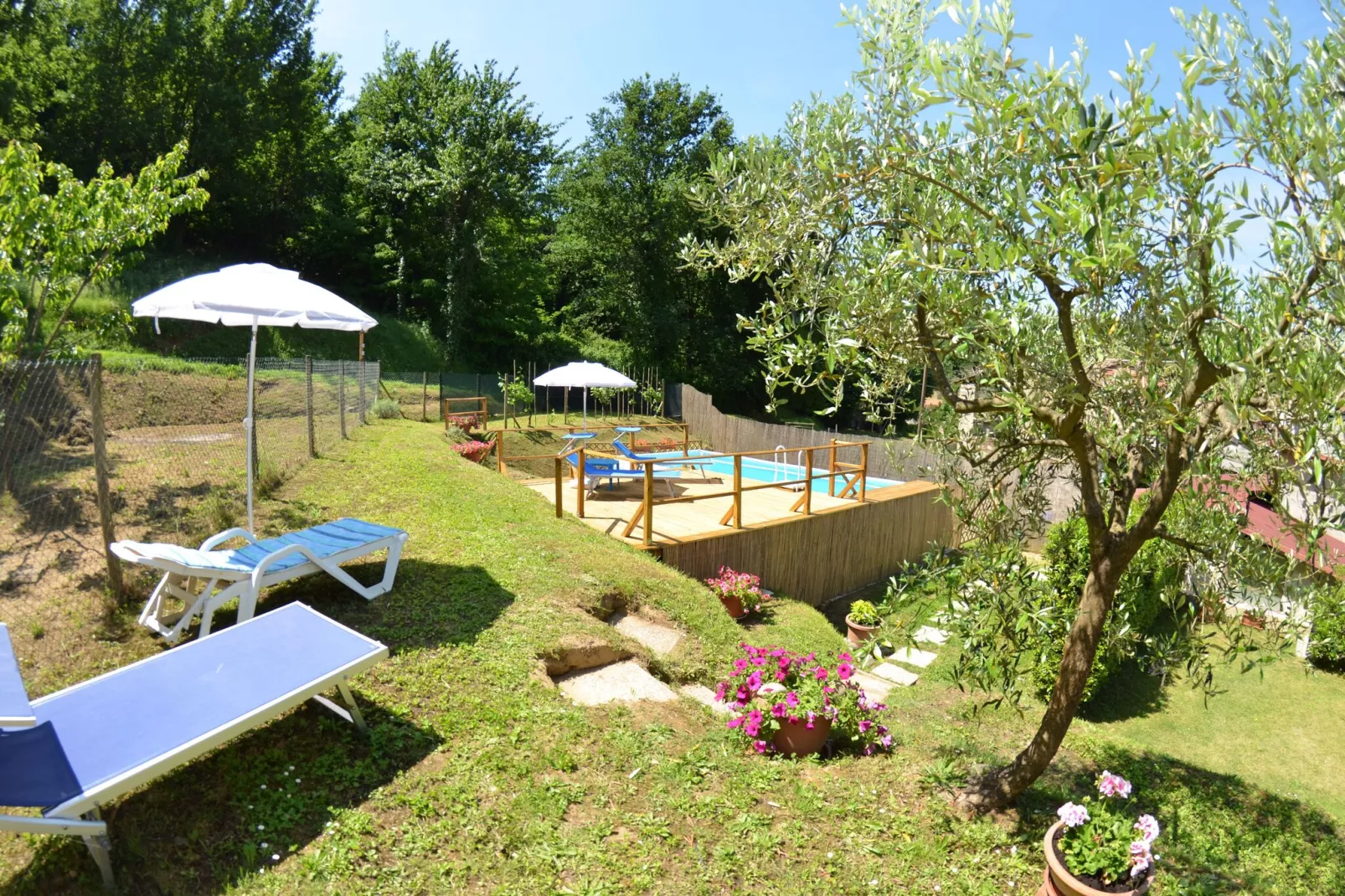 Piccola Margherita-Gardens summer