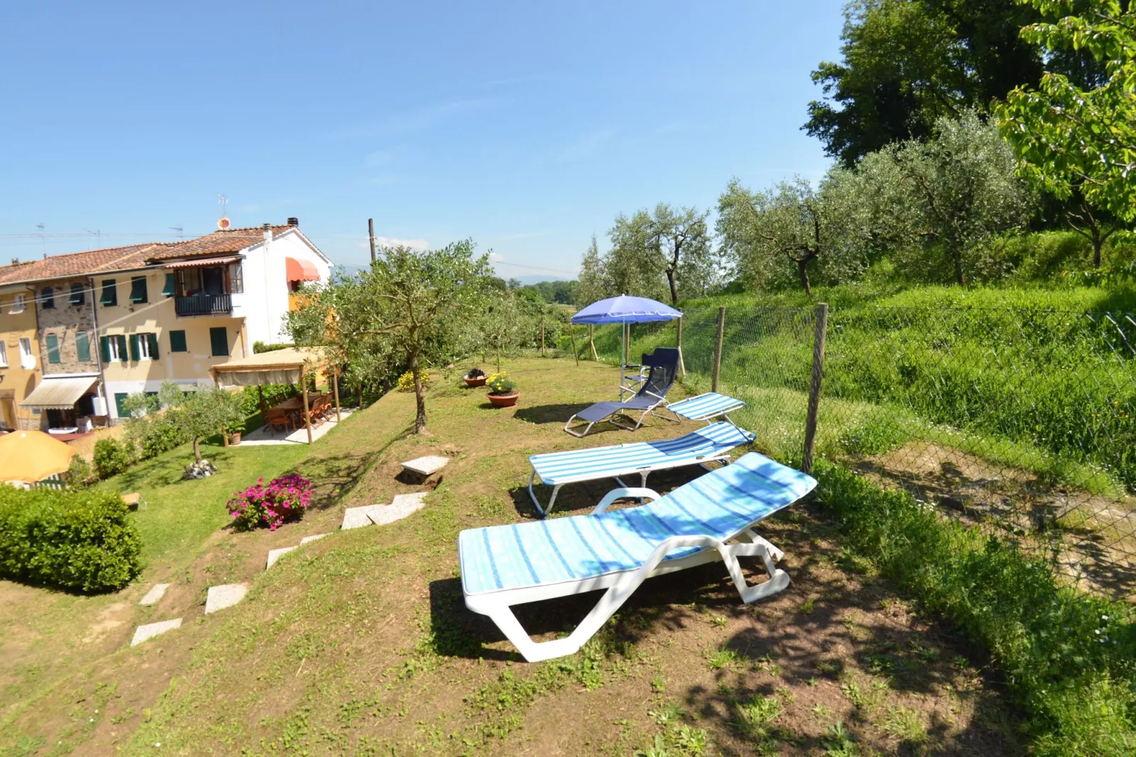 Piccola Margherita-Gardens summer